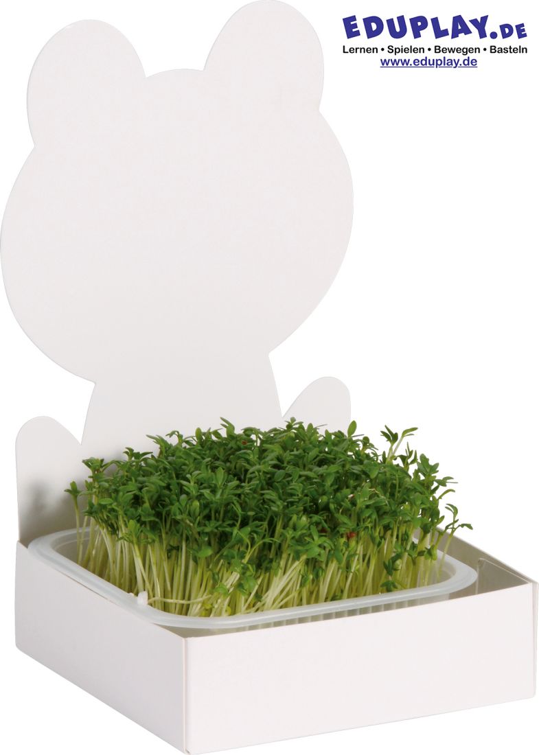 1501382 Eduplay Figuren-Saatschalen 27er Set