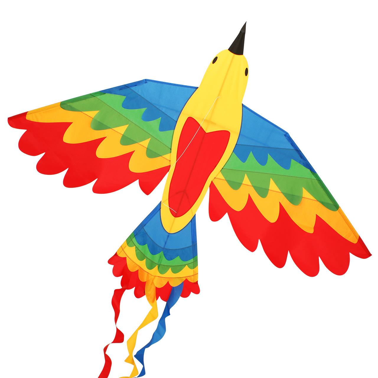 CiM Bird Drachen Rainbow