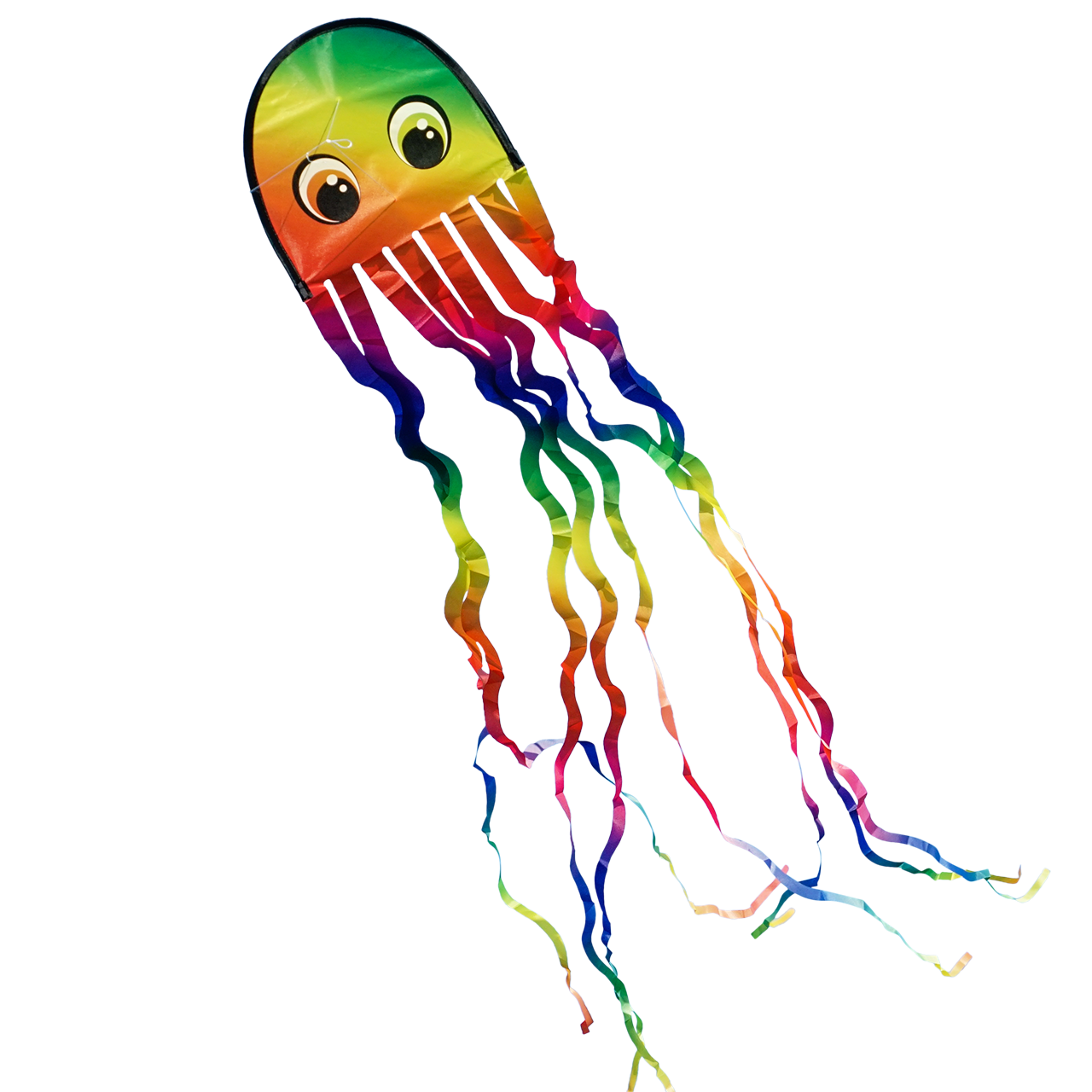 CiM Drachen Draki Rainbow