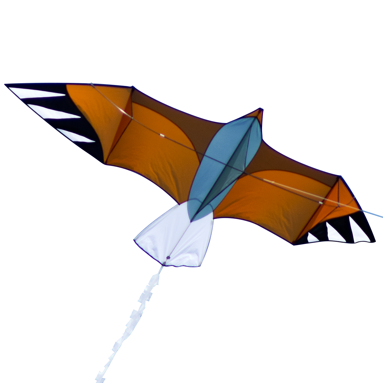 CiM Eagle Drachen