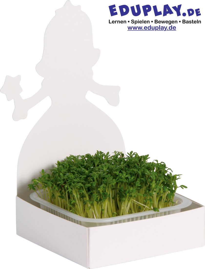 1501387 Eduplay Figuren-Saatschalen 27er Set