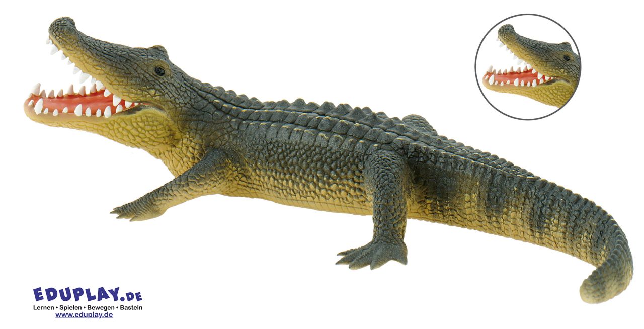 Eduplay Alligator Spielfigur
