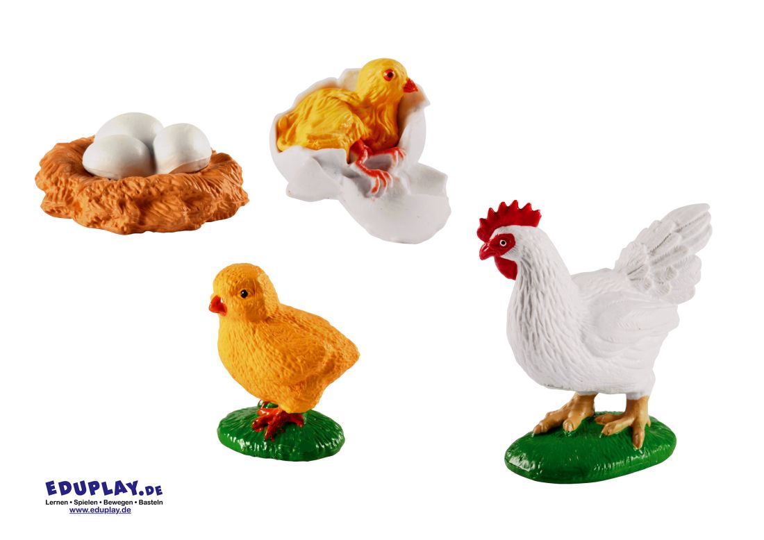 Eduplay Lebenszyklen Huhn