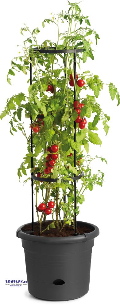 Eduplay Tomatentopf
